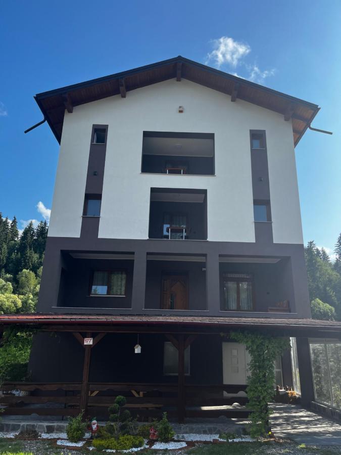 Cazare Luxandra Borşa Екстериор снимка